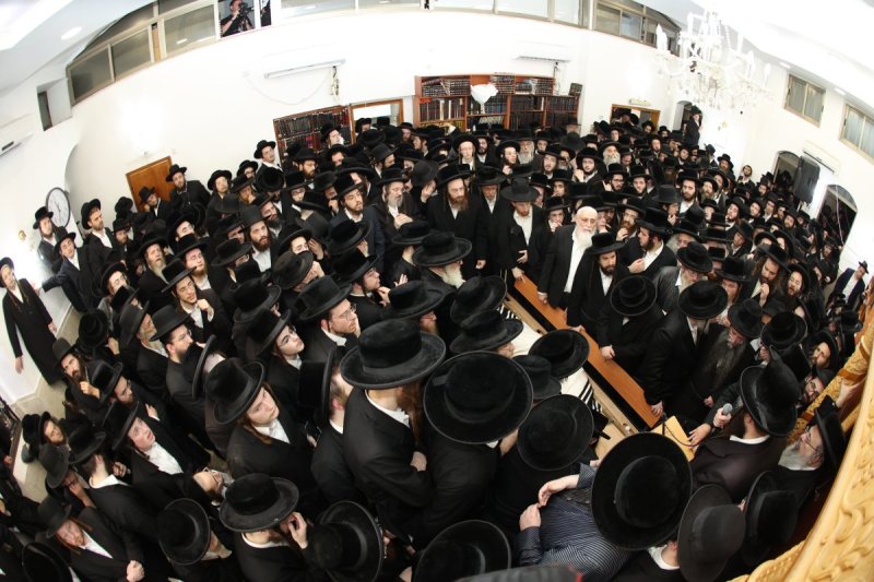 דוד ארזני וארי קופרשטוק