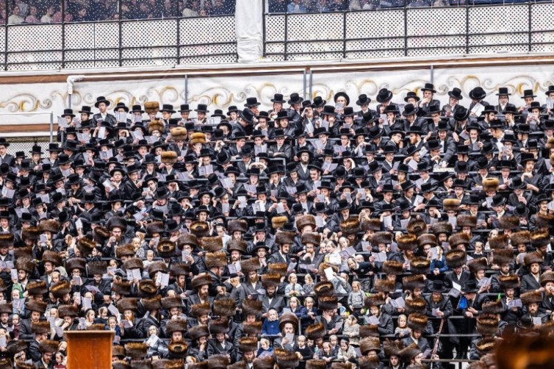 אלי וואהל, איצי מ.