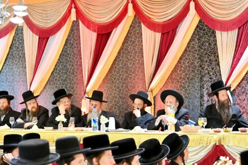 יהושע פרוכטר