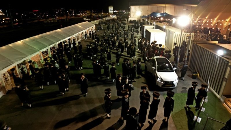 יהושע פרוכטר