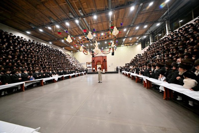 יהושע פרוכטר