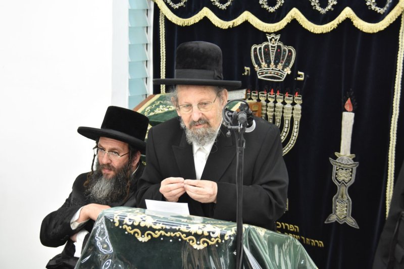 יהודה פרקוביץ
