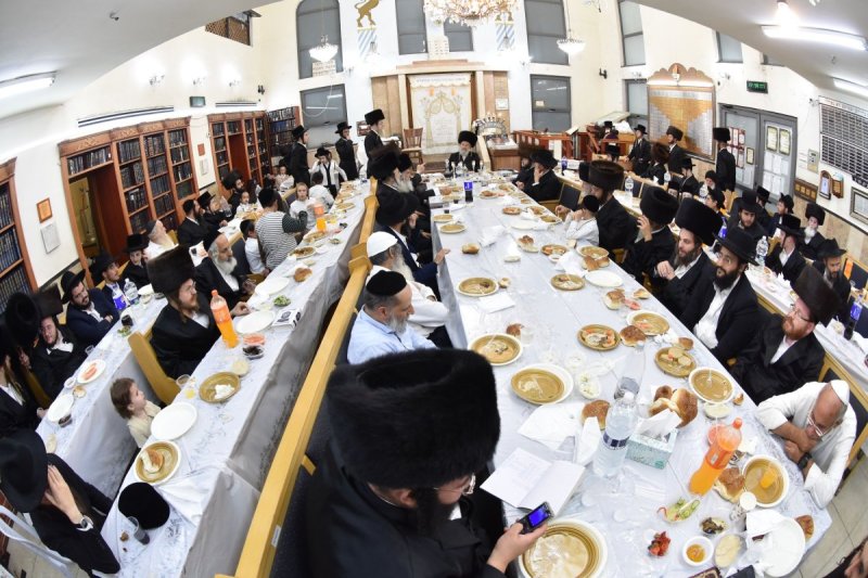 יהודה פרקוביץ