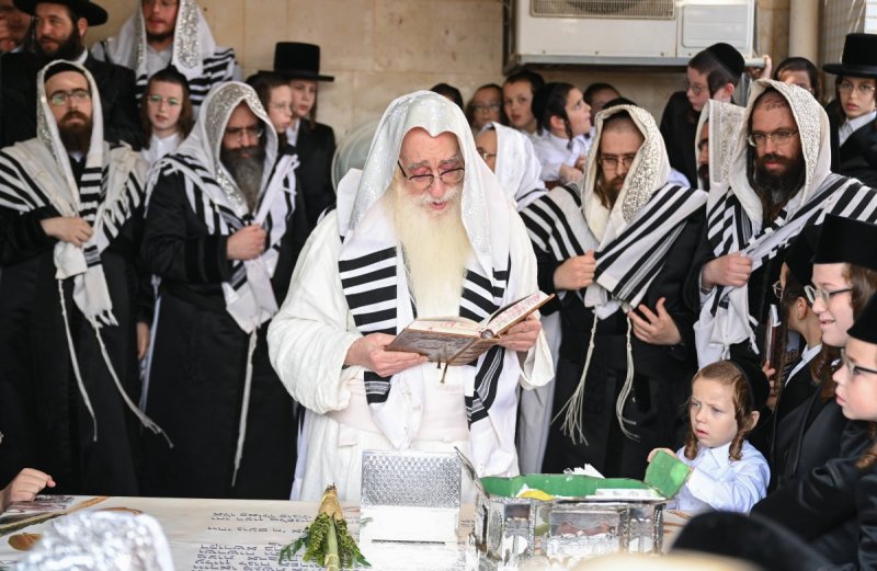 משה גולדשטיין