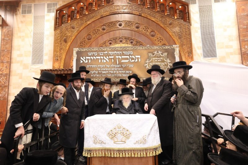 דוד ארזני