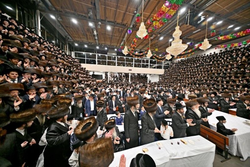 יהושע פרוכטר