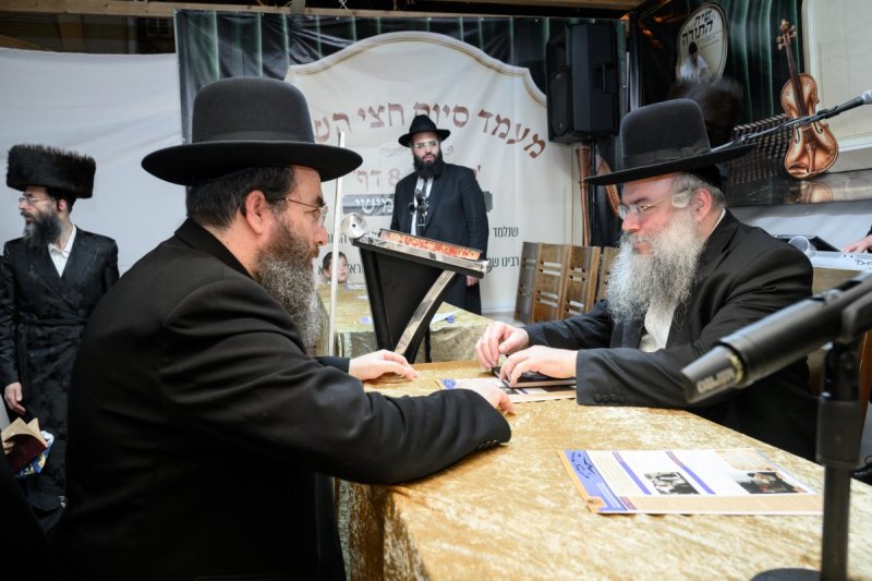 מנדי רוט
