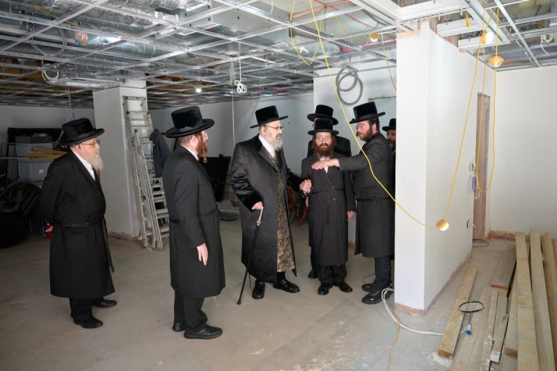דודי בראון