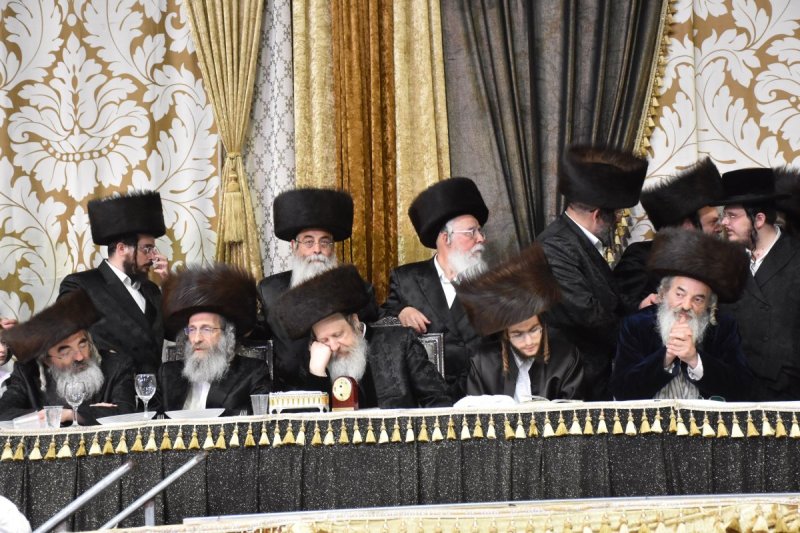 יהודה פרקוביץ