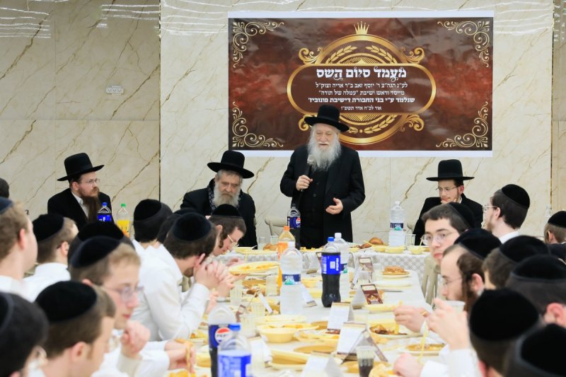 אלעזר פיינשטיין