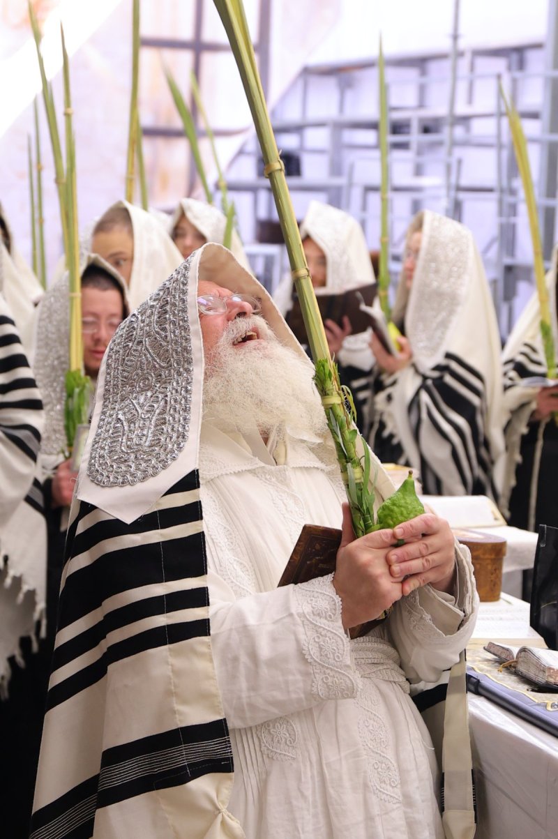 באדיבות המצלם