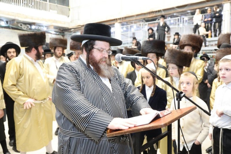 שלומי טריכטר