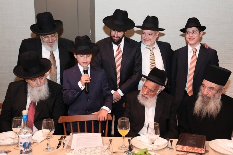 נועם אליהו