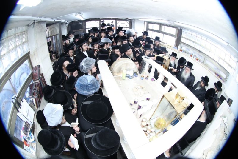 שלומי טריכטר