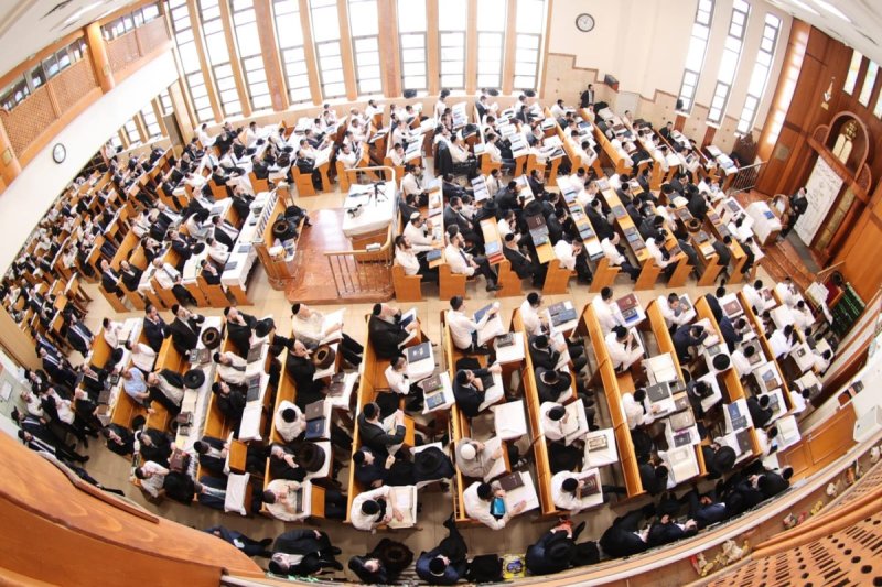 שלומי טריכטר