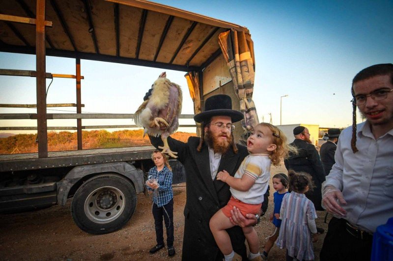 ארי קופרשטוק