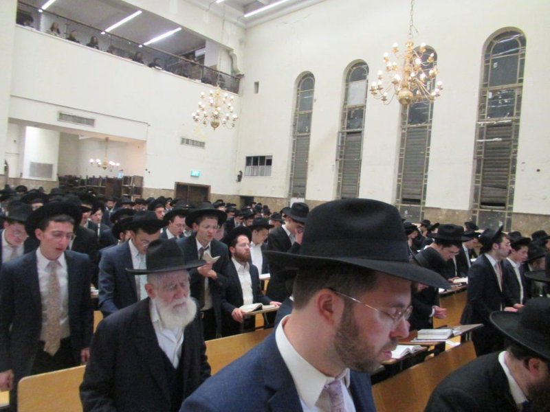 באדיבות המצלם