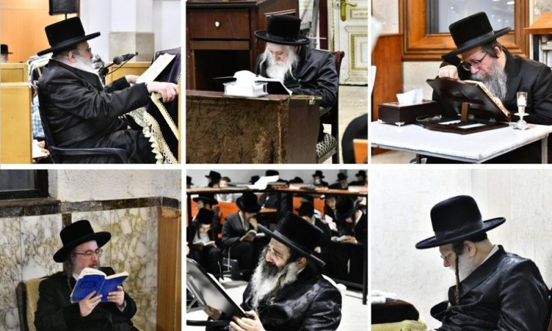 16 חצרות: הצלם שוקי לרר מגיש תיעוד מאדמו"רי בני ברק מקוננים על החורבן