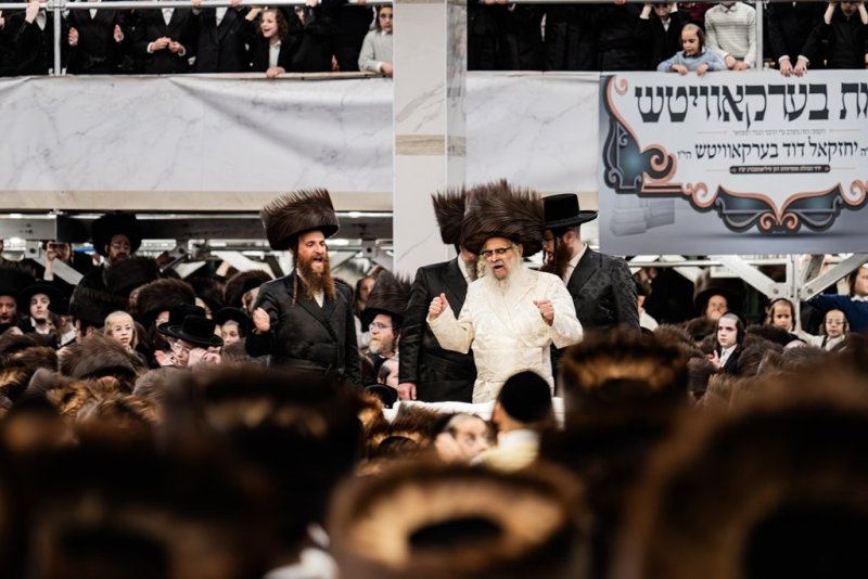 י. שטיין