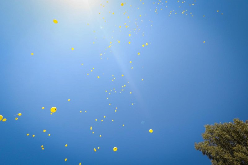 דניאל נפוסי