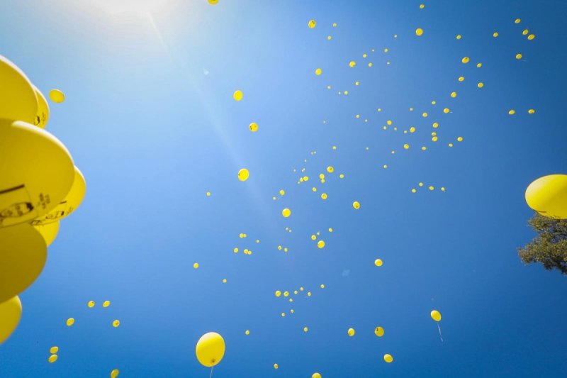 דניאל נפוסי