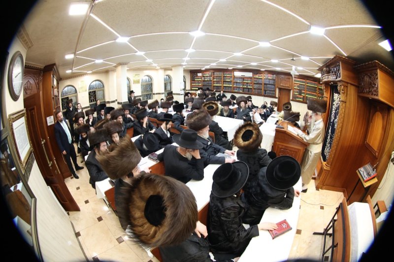 שלומי טריכטר