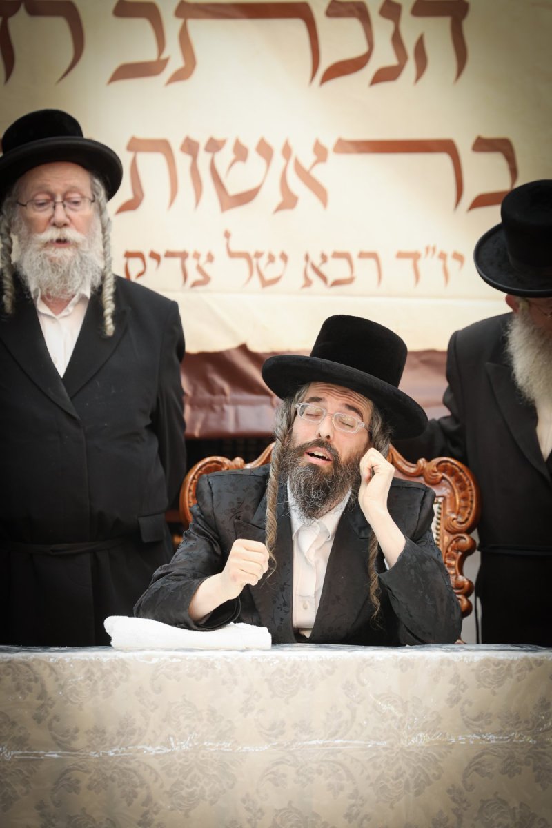 דוד ארזני