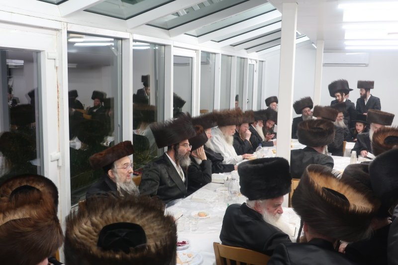 שימי פ.