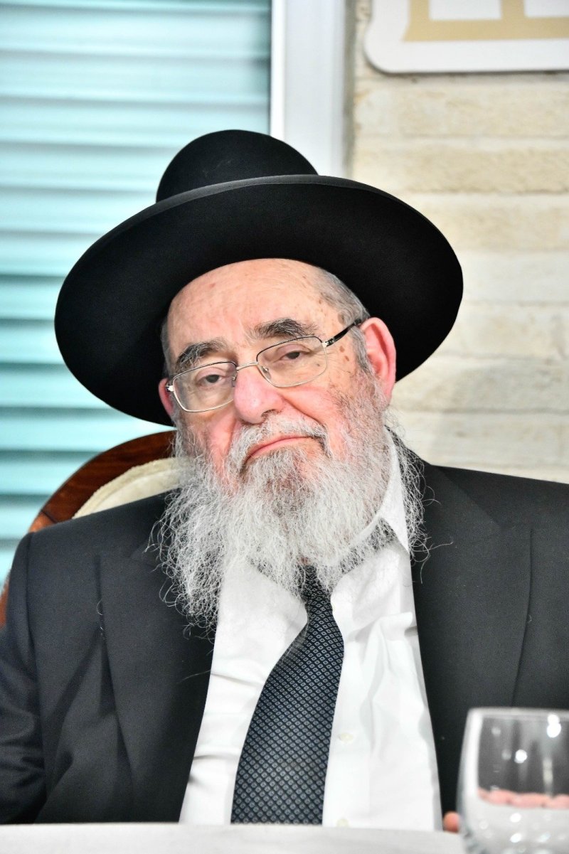 שוקי לרר ומאיר זלזניק