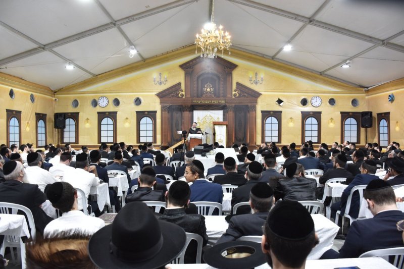 יהודה פרקוביץ