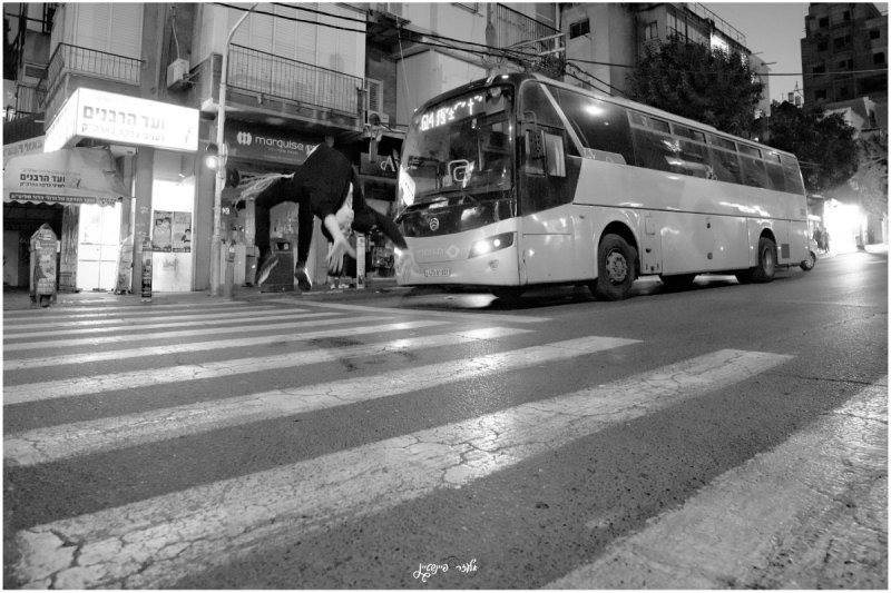 אלעזר פיינשטיין