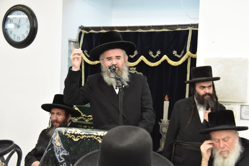 יהודה פרקוביץ