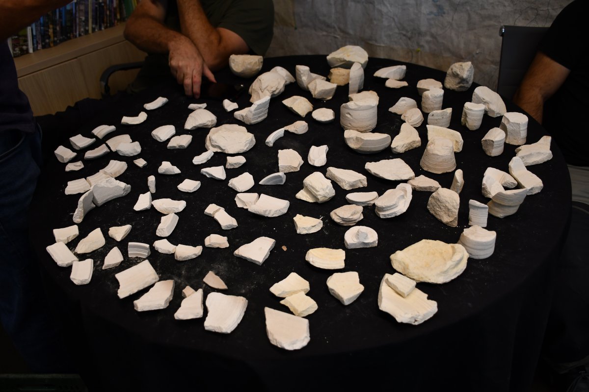 יולי שוורץ / אמיל אלג'ם, רשות העתיקות