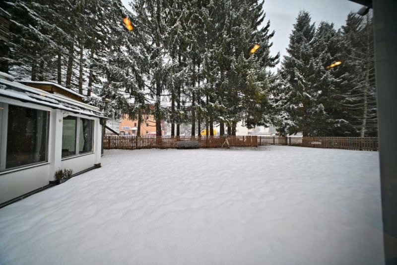 יהושע פרוכטר