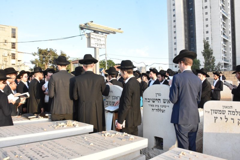 יהודה פרקוביץ