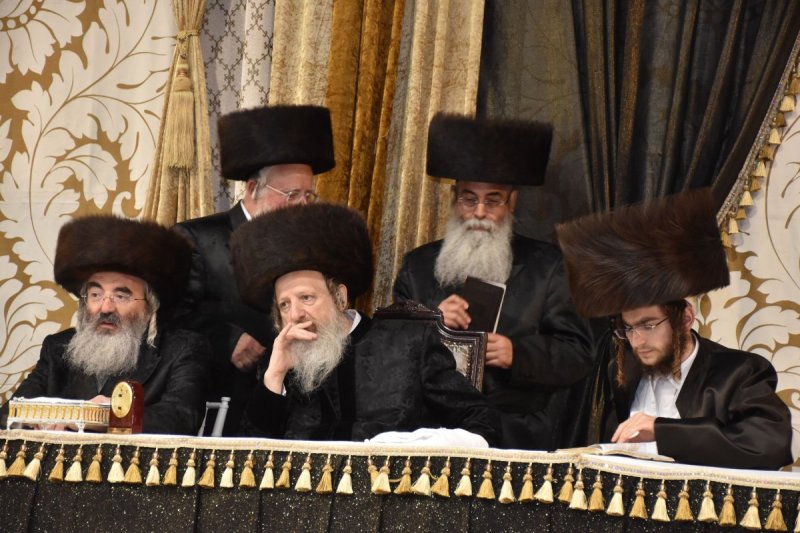 יהודה פרקוביץ