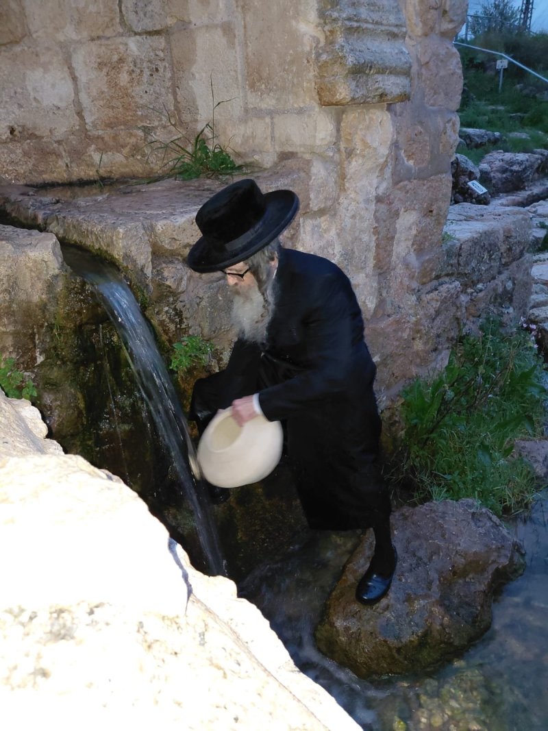 באדיבות המצלם