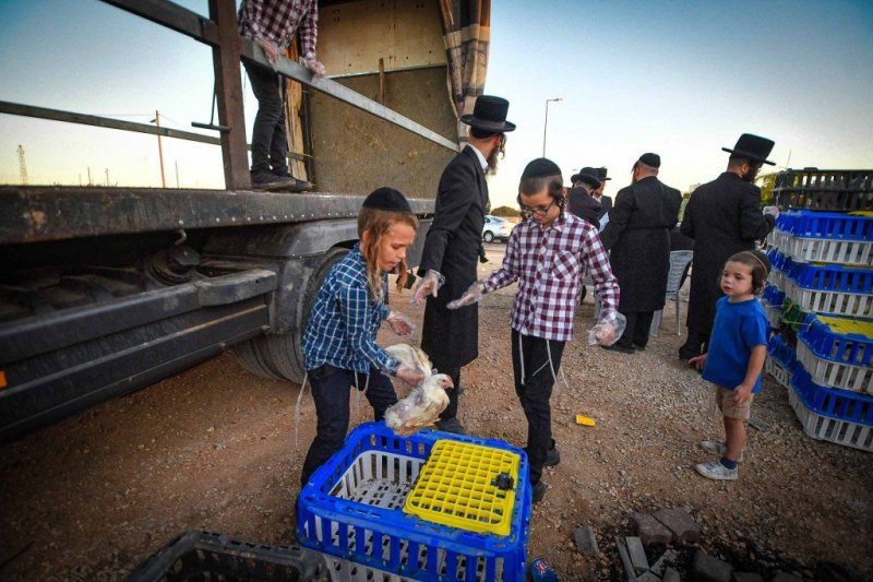 ארי קופרשטוק