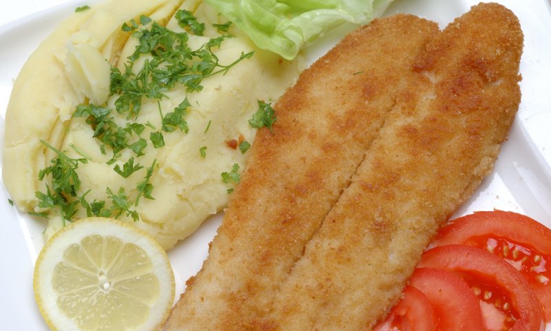 ארוחת הצהריים להיום בבית של סבתא: פירה עם שניצל מושט מטוגן