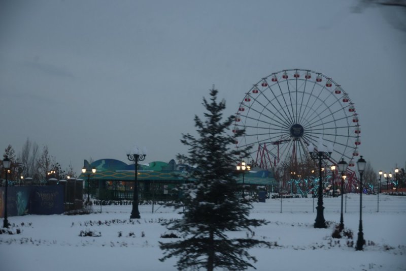 צילום: מרדכי לובעצקי