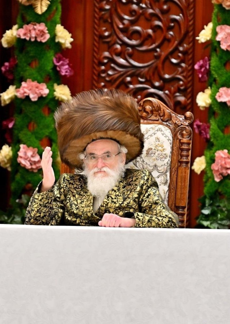 יהושע פרוכטר