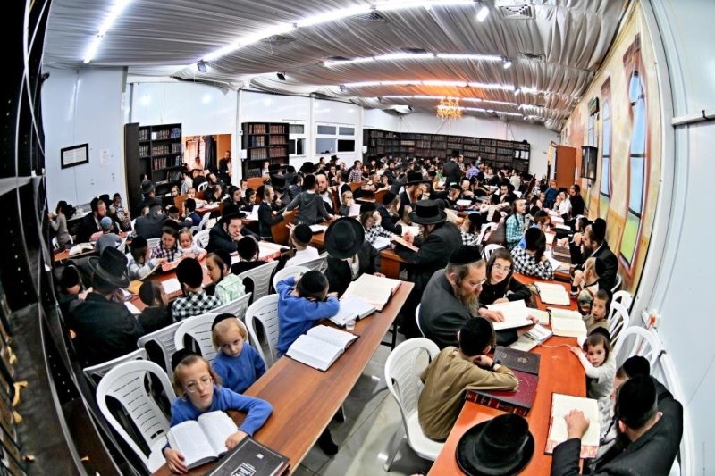 יהושע פרוכטר
