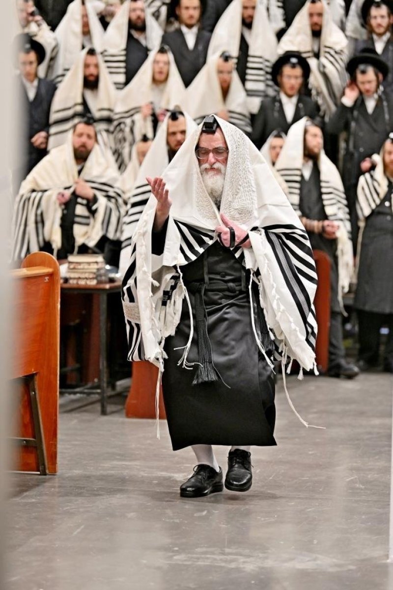 יהושע פרוכטר