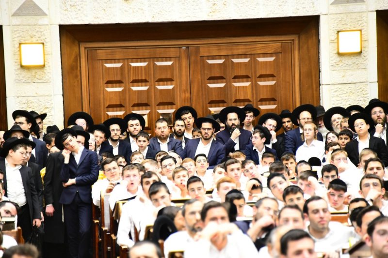 שוקי לרר