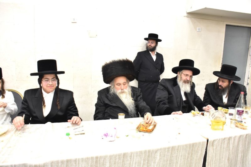 יהודה פרקוביץ