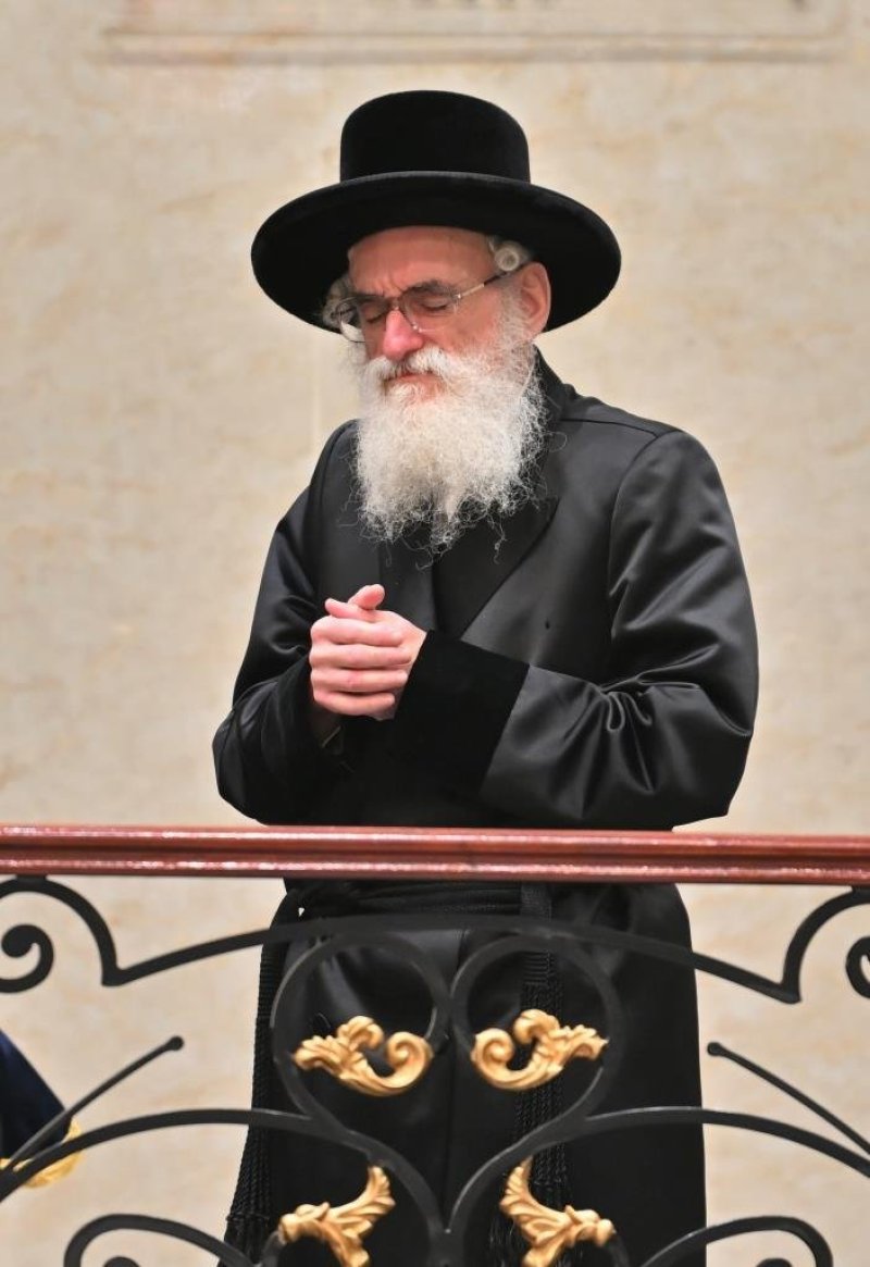 יהושע פרוכטר