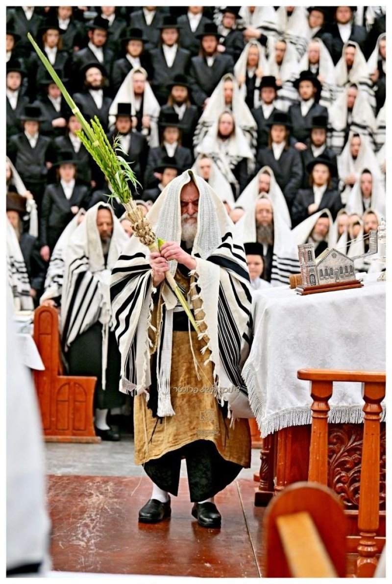 יהושע פרוכטר