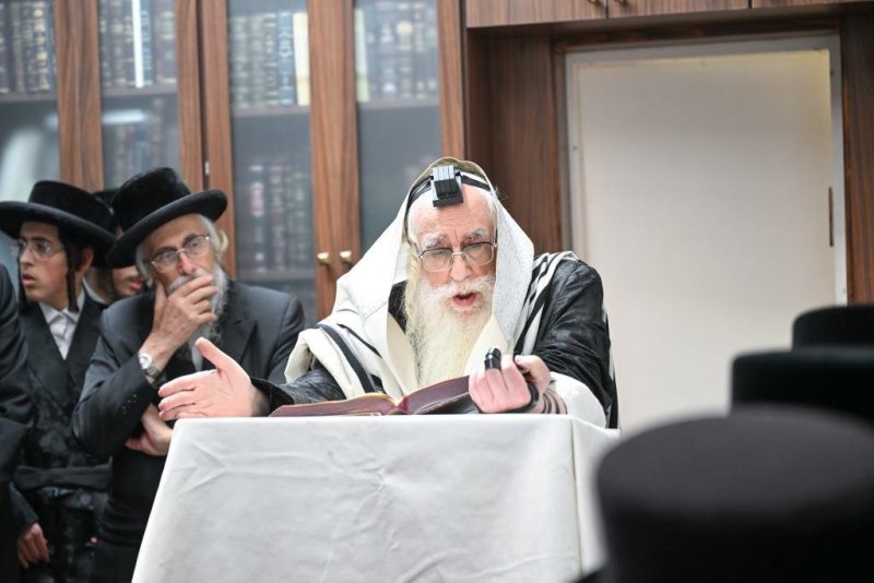 משה גולדשטיין