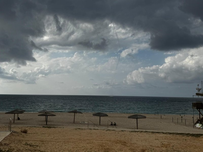 שלומית שביט, רשות הטבע והגנים