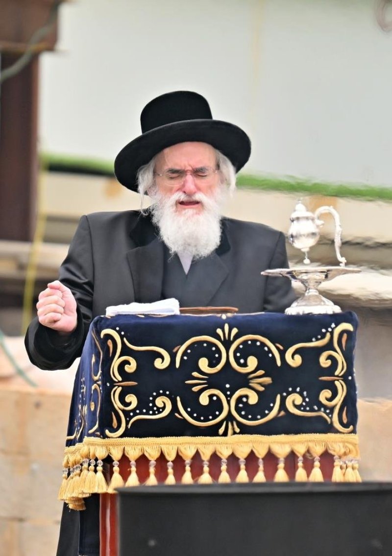 יהושע פרוכטר